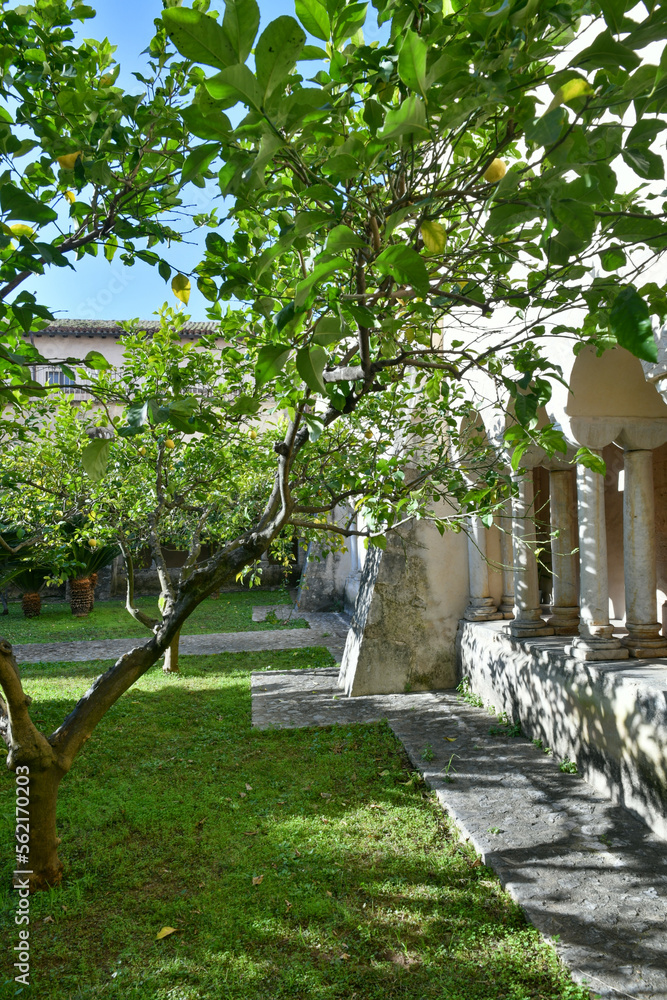 A detail of the cloister of the Fossanova abbey. It is located in Italy in the Lazio region, not far from Rome.