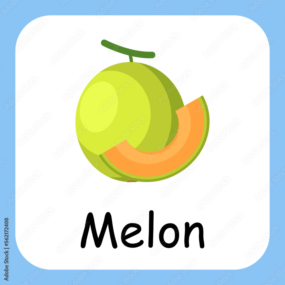 Flat Illustration of Melon with Text Vector Design. Education for Kids.