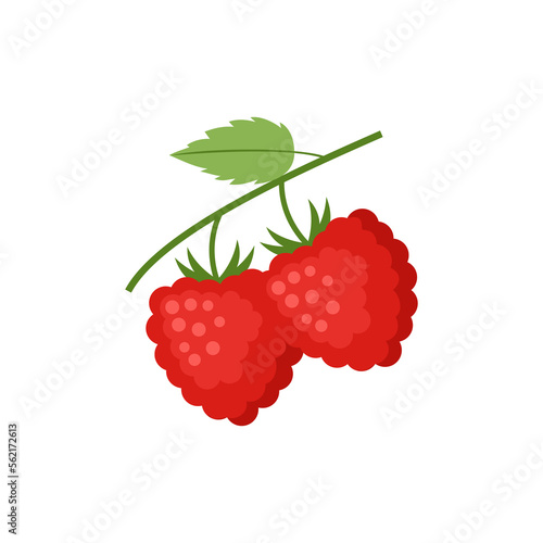 Raspberries  Flat design clip art vector illustration isolated on a white background