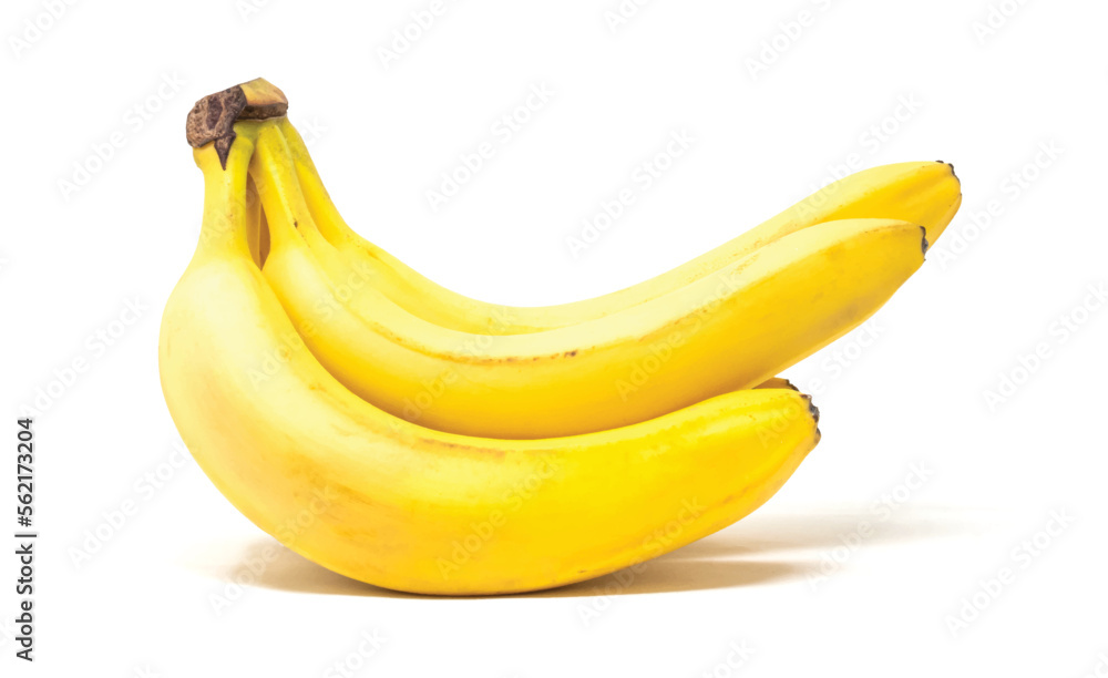 realistic vector bunch of bananas