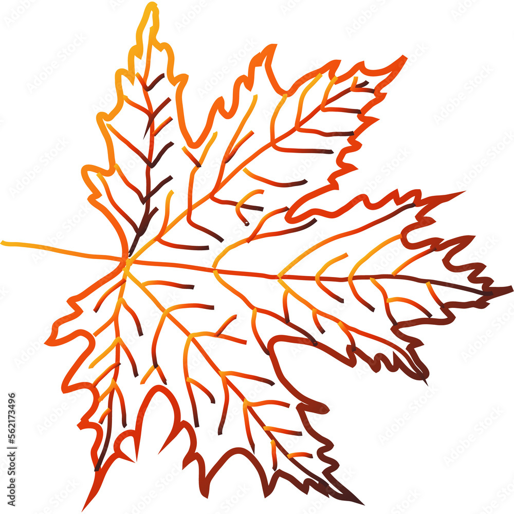 colorful autumn leaves Chestnut, maple, oak, birch, aspen, etc. colorful autumn leaves Chestnut, maple, oak, birch, aspen, etc.