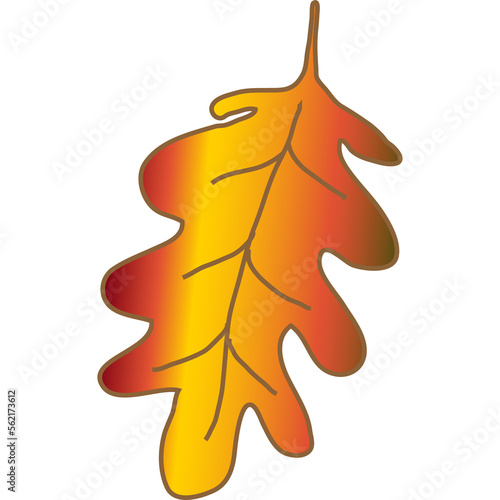  colorful autumn leaves Chestnut, maple, oak, birch, aspen, etc.