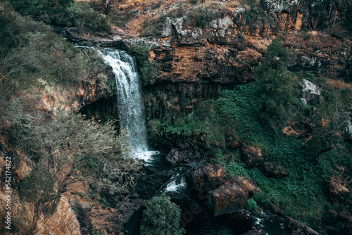 Lush trees around Australian waterfall