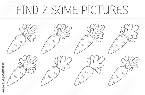 Find two some pictures is an educational game for kids with carrot. Cute carrot coloring book. Vector illustration.
