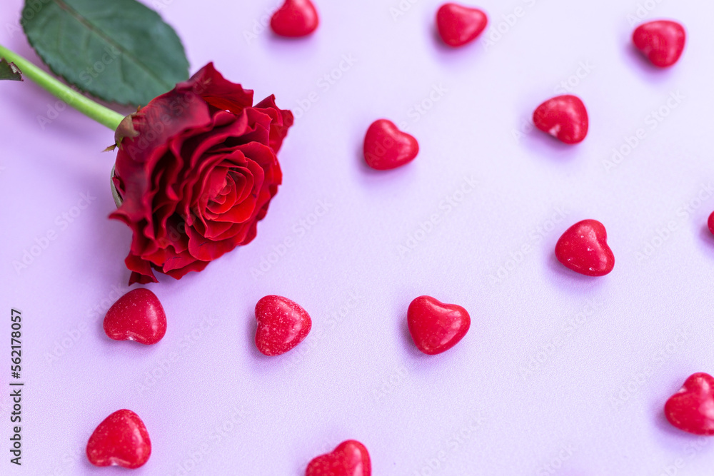 red rose on a pink background with hearts