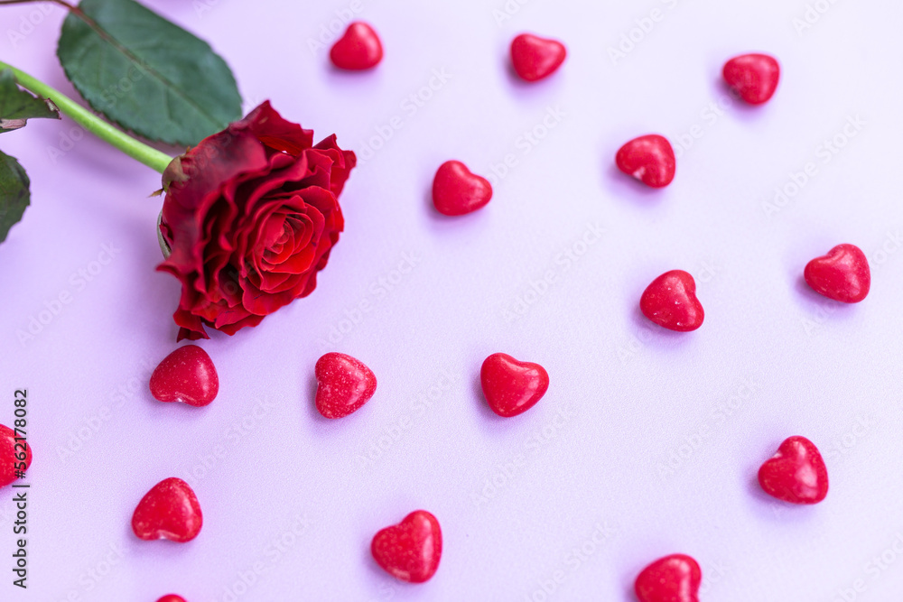 red rose on a pink background with hearts