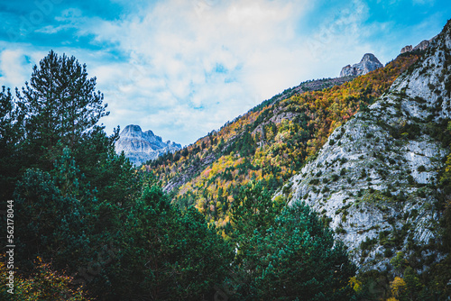 Ruta por la selva de Oza y el valle de Zuriza. La recogida de setas es habitual aquí, así como encontrarse con caballos salvajes o vacas que andan libres con el buen tiempo por los Pirineos. photo