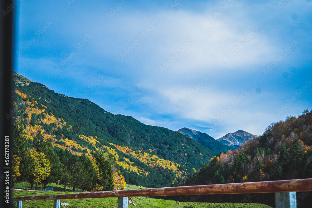 Ruta por la selva de Oza y el valle de Zuriza. La recogida de setas es habitual aquí, así como encontrarse con caballos salvajes o vacas que andan libres con el buen tiempo por los Pirineos.