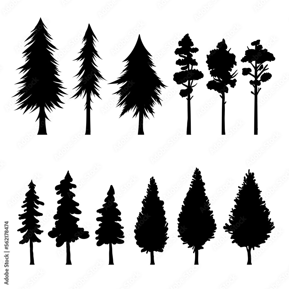 Trees black and white silhouette collection. Fir and pine templates, botany elements.
