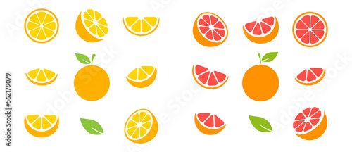 Fototapeta Naklejka Na Ścianę i Meble -  Orange and grapefruit fruits slices set. Tangerine collection. Vector illustration isolated on white.