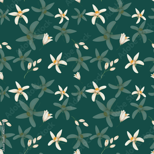 Watercolor seamless pattern. Hand painted illustrations of beige flowers in blossom with five petals, buds. Tropical citrus flowers. Floral pattern. Print on green background for textile, packaging