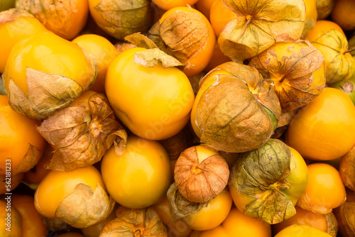 Tomates