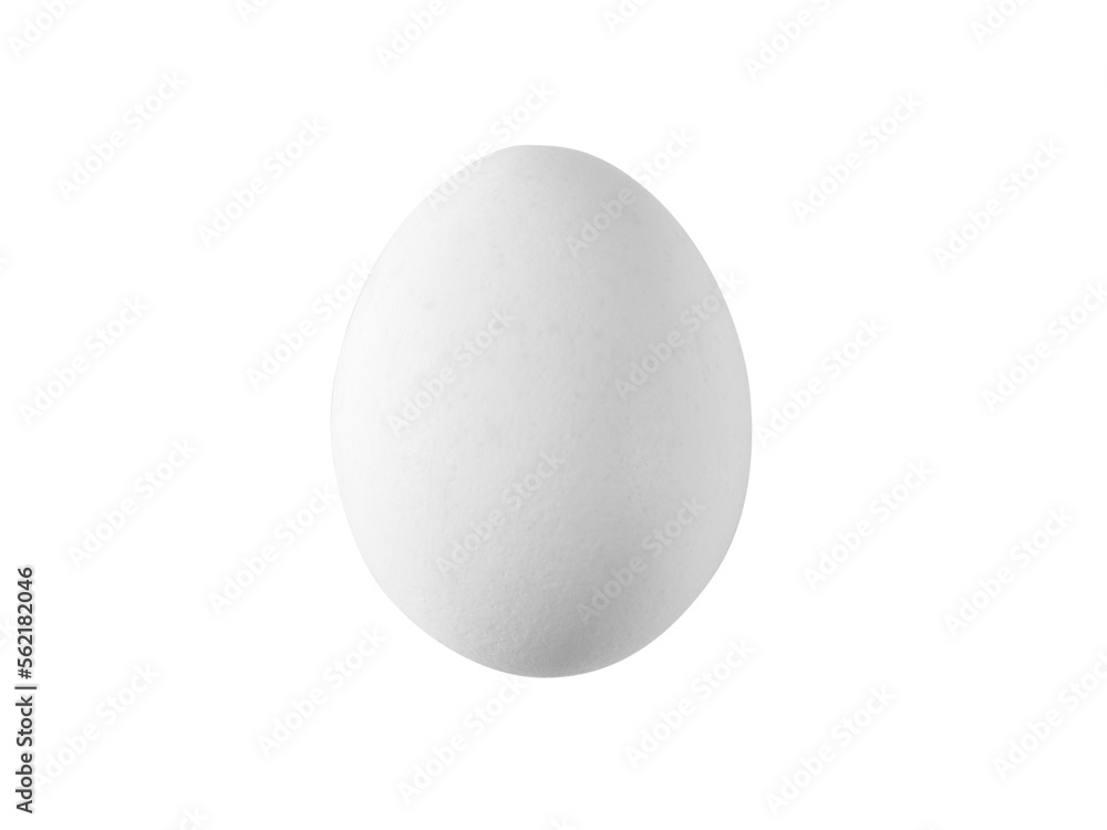 White chicken egg isolated on white. Sparse studio shoot, png with transparency White chicken egg isolated on white. Sparse studio shoot, png with transparency