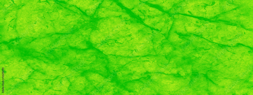 Abstract stylist green marble texture with luxury stains, Creative and decorative pattern stone ceramic art wall texture , green crumbled paper texture, green marble for kitchen and bathroom decor. Abstract stylist green marble texture with luxury stains, Creative and decorative pattern stone ceramic art wall texture , green crumbled paper texture, green marble for kitchen and bathroom decor.