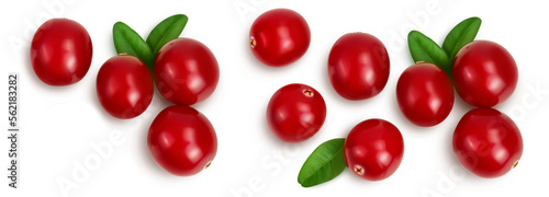 Cranberry with leaves isolated on white background with full depth of field. Top view with copy space for your text. Flat lay