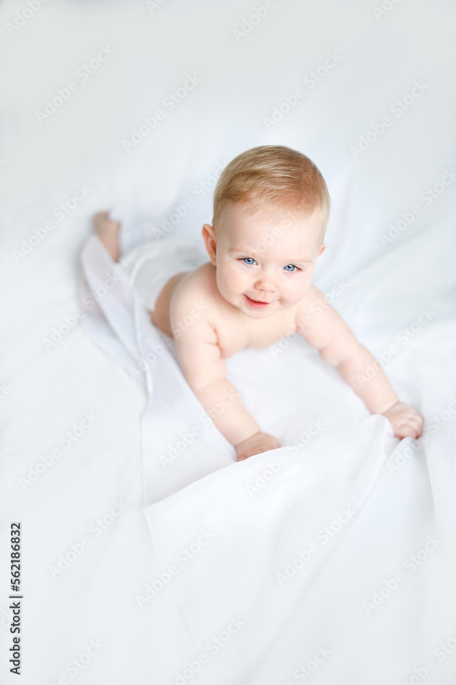 baby 6 month old 7 month old blonde baby girl blue eyes baby 6 month old 7 month old blonde baby girl blue eyes