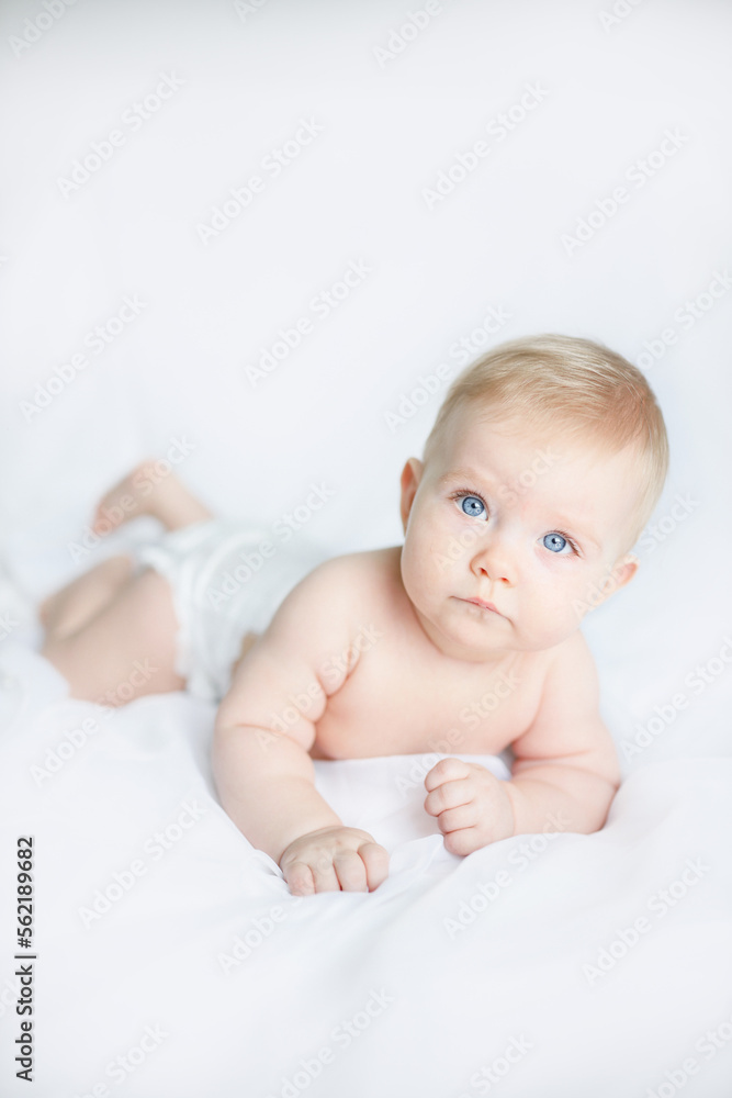 baby girl 6 month 7 month blonde girl baby girl 6 month 7 month blonde girl
