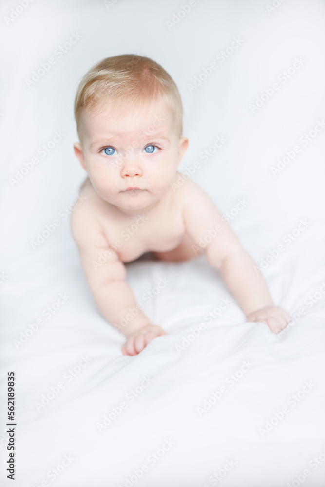 baby girl 6 month 7 month blonde girl baby girl 6 month 7 month blonde girl