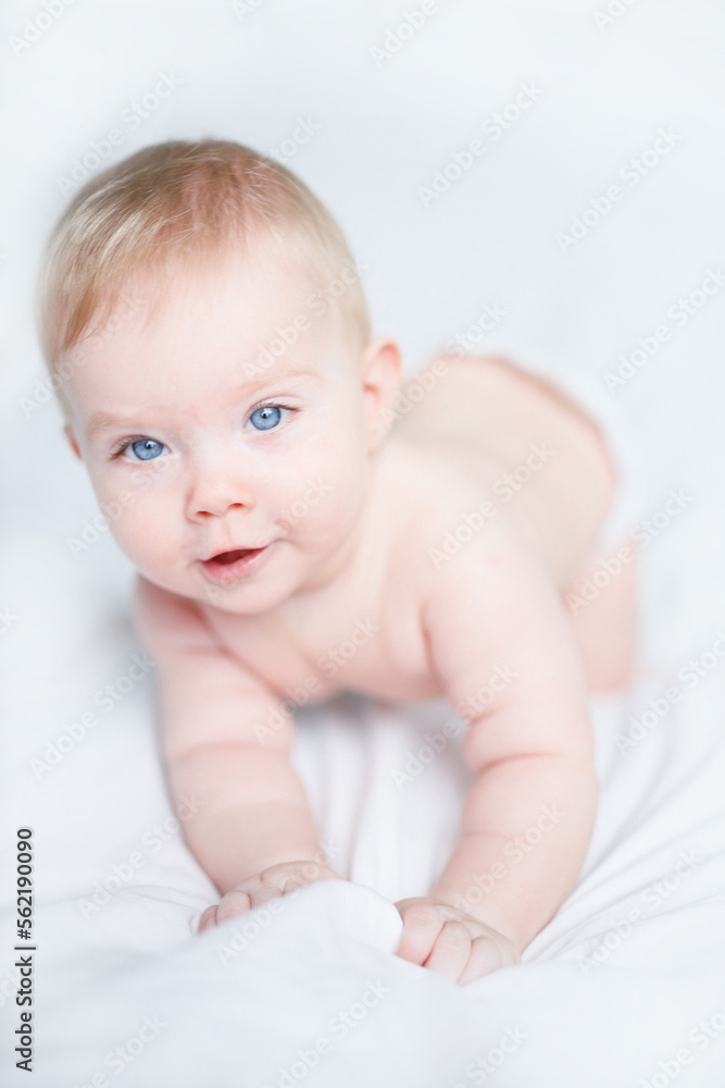 baby girl 6 month 7 month blonde girl baby girl 6 month 7 month blonde girl