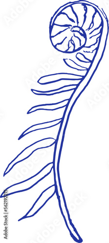 Fern branch outline. Blue Ink style. 