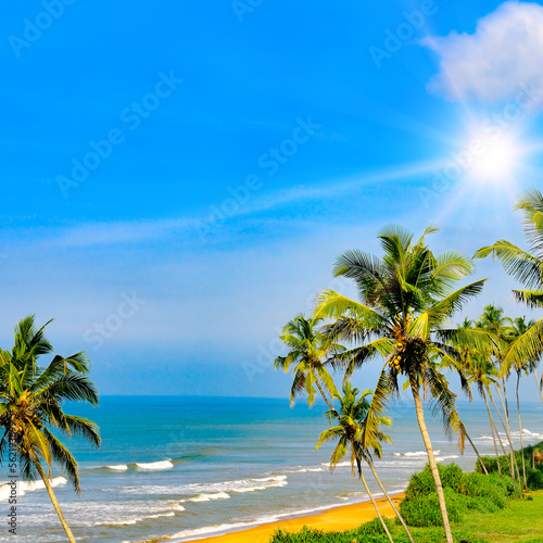 Fototapeta Naklejka Na Ścianę i Meble -  Coconut palm tree with Tropical beach and sun.