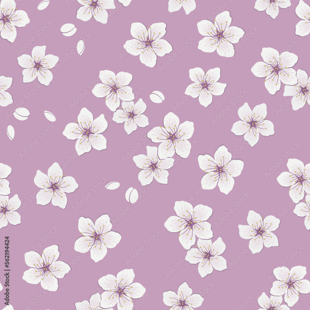 Seamless pattern with flowers of cherry. white flowers and buds on purple background. Spring floral print. Vector illustration