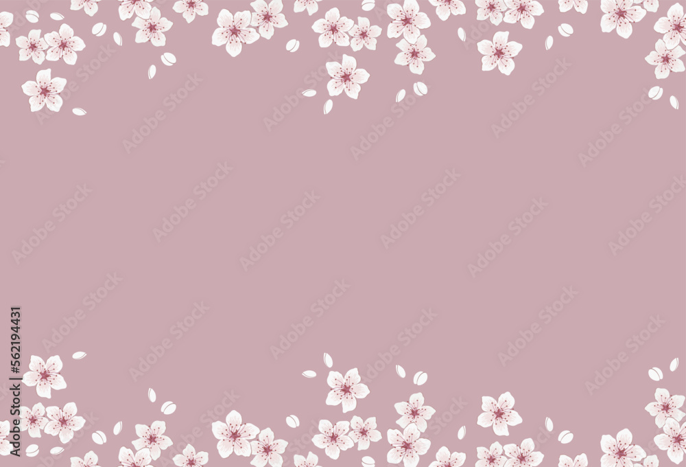 Seamless border with blossoming branches of cherry. White flowers and buds on pink background. Spring floral background. Vector illustration Seamless border with blossoming branches of cherry. White flowers and buds on pink background. Spring floral background. Vector illustration