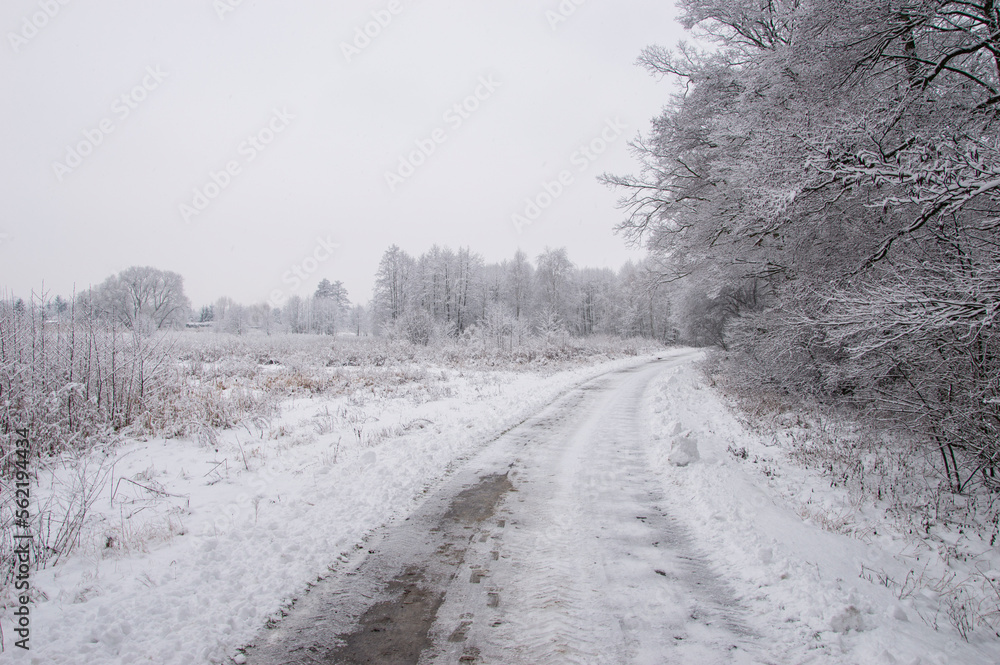 Obraz premium Winter snowy road on a gloomy day. nobody.