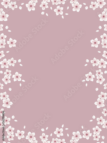 Spring floral frame. Background with blossoming branches of cherry. White flowers and buds on a pink background. Vector illustration