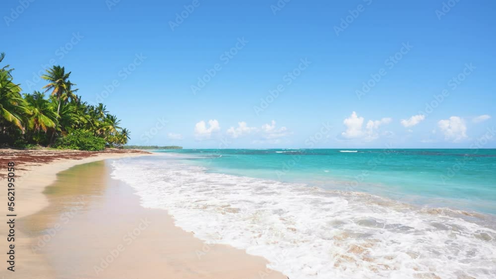 Beautiful view of the beach line with tall palm trees and the ocean. Blue sky and white waves of the turquoise sea on yellow sand. Tropical beach background as a summer landscape. Wide format. Beautiful view of the beach line with tall palm trees and the ocean. Blue sky and white waves of the turquoise sea on yellow sand. Tropical beach background as a summer landscape. Wide format.