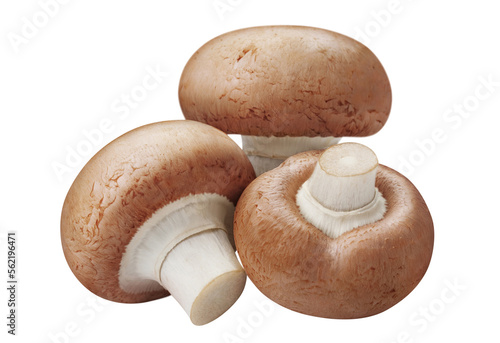 Fresh champignon mushrooms cut out