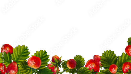 Banner with watercolor red strawberries and leaves on a white background. Illustration of juicy summer berries hand-drawn  botanical. Template of a frame for text  design of postcards  invitations.