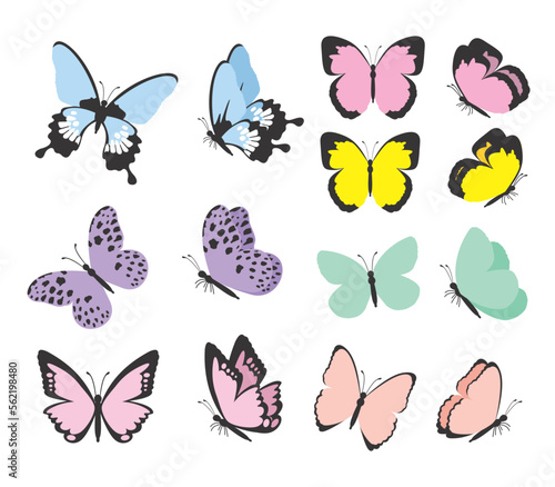 Borboletas, retro, vetor, set borboletas, adesivos borboletas, vetor de borboletas, set borboletas vetor, borboletas voando photo
