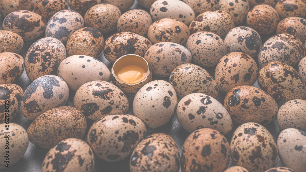 Obraz premium Group of quail eggs as a background. Raw eggs.