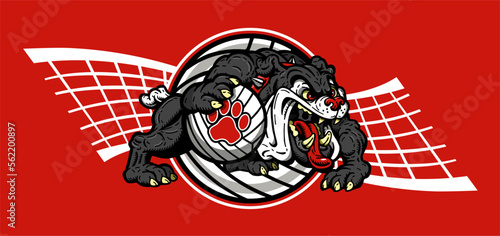 full body bulldog mascot inside a volleyball for school, college or league sports