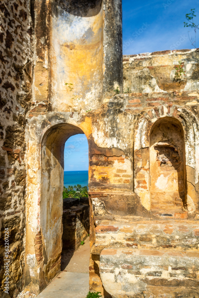 Obraz premium Beaches of Brazil - Maragogi, Alagoas state