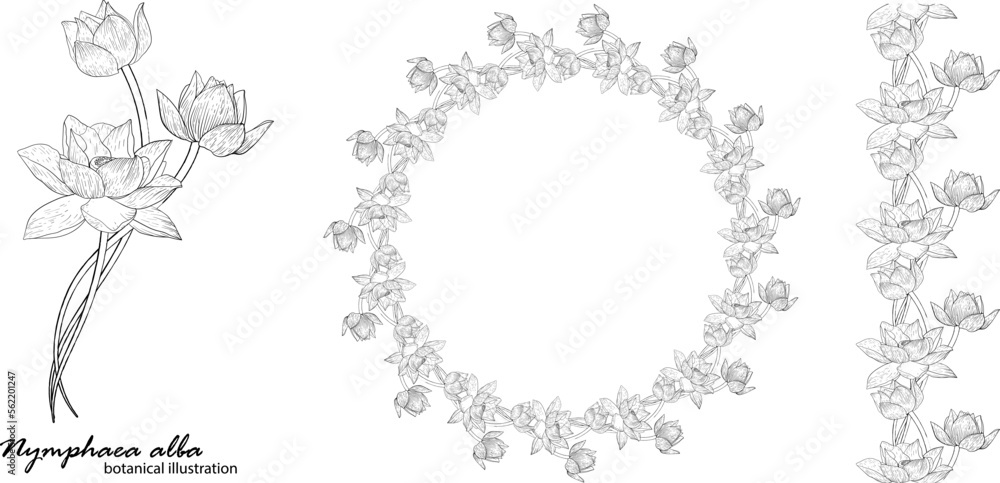 Floral vector wreath with lily flowers. Floral Floral vector wreath with lily flowers. Floral