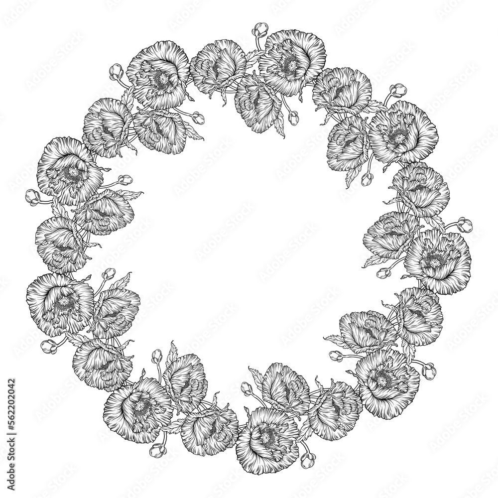 Graphic flower composition. Flowers of poppies. Wreath Graphic flower composition. Flowers of poppies. Wreath
