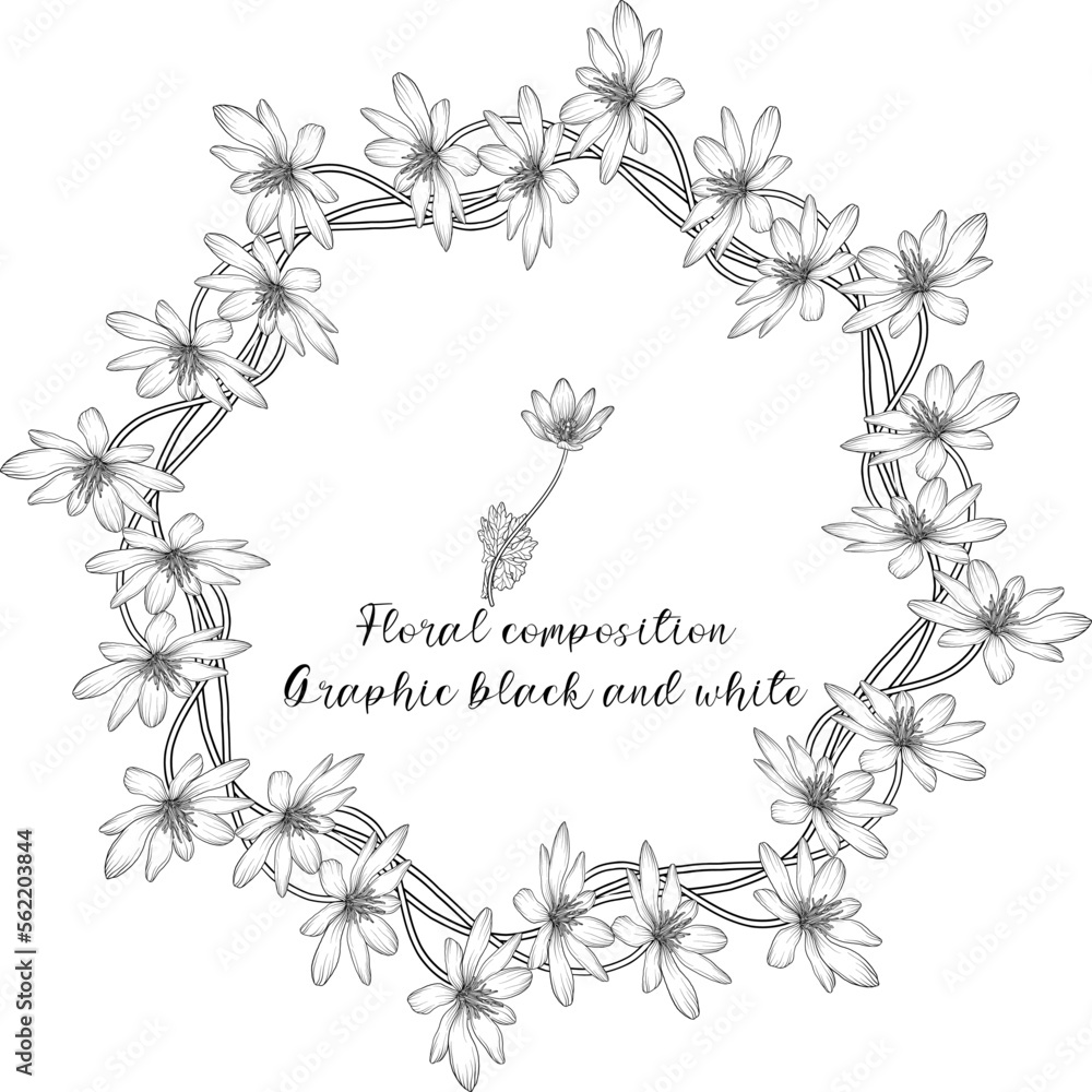 A set of graphic floral compositions with black and white delicate flowers