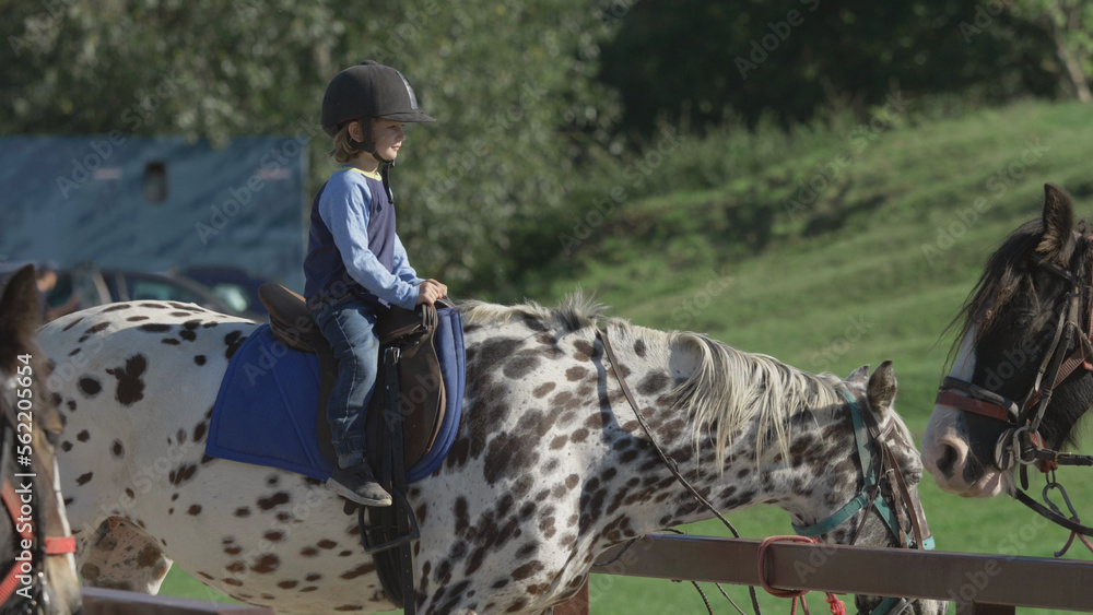 Little boy ready to ride the horse for the first time Little boy ready to ride the horse for the first time