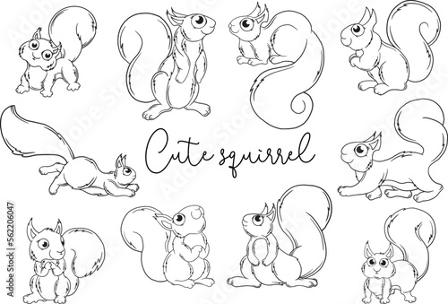 Outline cartoon illustration of a squirrel. Black and white drawing. Squirrel.