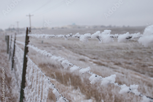 Tablou pe pânză White ice and snow covering a barbed wire fence on a cold winter day in Gillette, Wyoming