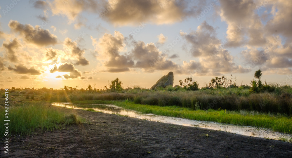 Fototapeta premium Landscape of Whatipu, New Zealand