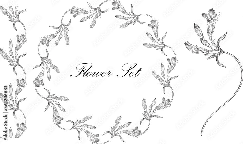 Floral set with black and white delicate flowers. Romantic set
