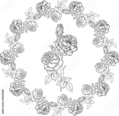 Hand-drawn floral set, Rose Collection, Flower Wreath.