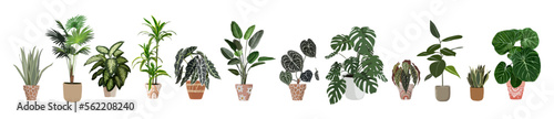 Indoor plants vector illustrations set. Realistic house plants in hand made pots. Exotic flowers with stems and leaves. Ficus, snake plant, ficus, begonia, monstera isolated botanical design elements #562208240