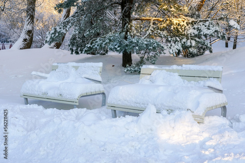 Wooden benches in the city park covered with a thick layer of snow, snowy winter day in city park