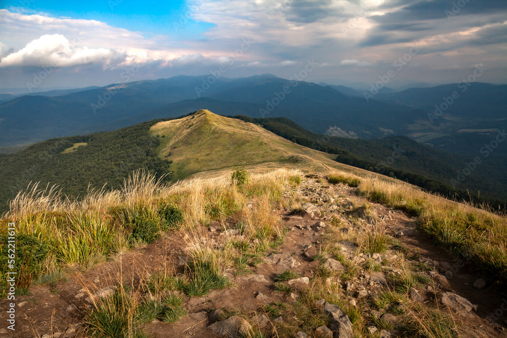 The late summer landscape of Połonina Caryńska in Carpathian Mountains in natural colors, Bieszczady, Poland