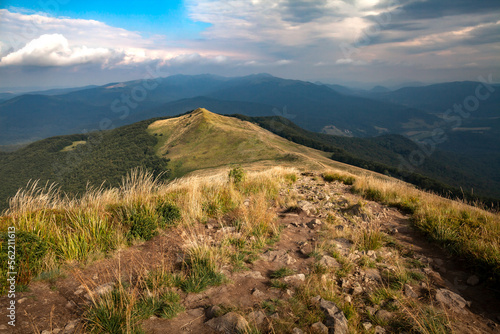 Obraz na płótnie The late summer landscape of Połonina Caryńska in Carpathian Mountains in natural colors, Bieszczady, Poland w salonie