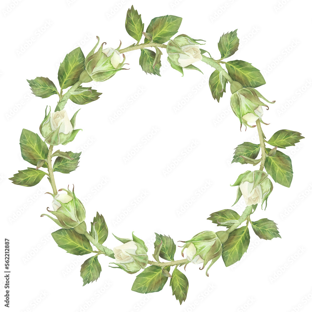 Round wreath of white roses buds with leaves. Place for inscription or text. Watercolor illustration. Isolated on a white background. For design of dishes, greeting card, wedding invitation